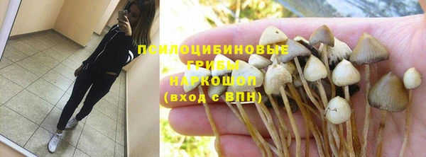 apvp Строитель