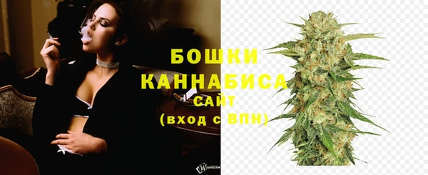 ECSTASY Бородино