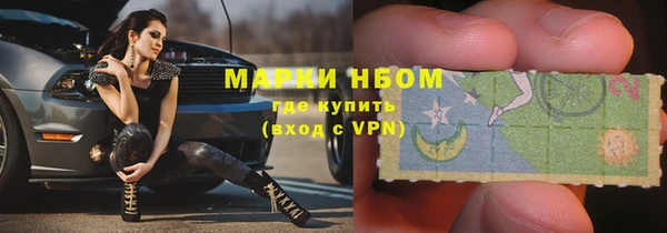 ECSTASY Бородино