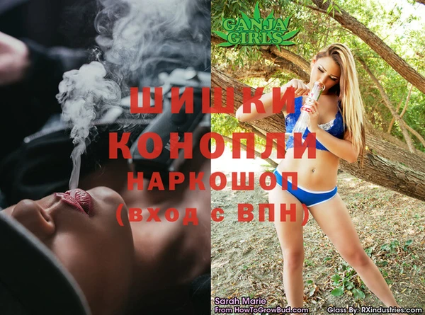 ECSTASY Бородино