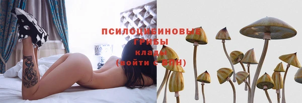 ECSTASY Бородино