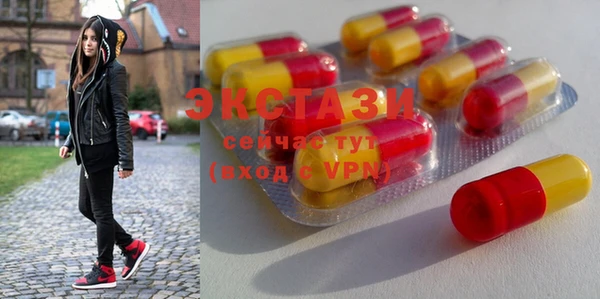 ECSTASY Бородино