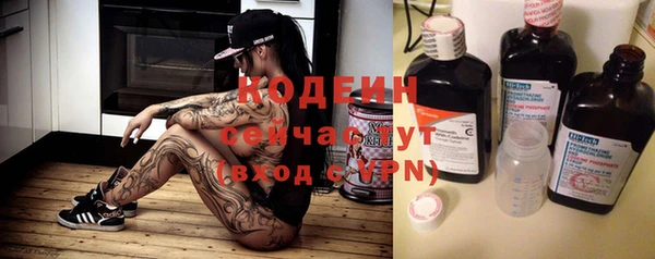 ECSTASY Бородино