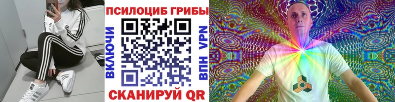 Псилоцибиновые грибы мицелий  как найти наркотики  Кораблино 