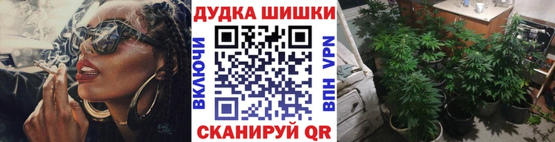 Каннабис планчик  Кораблино 
